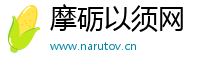 摩砺以须网